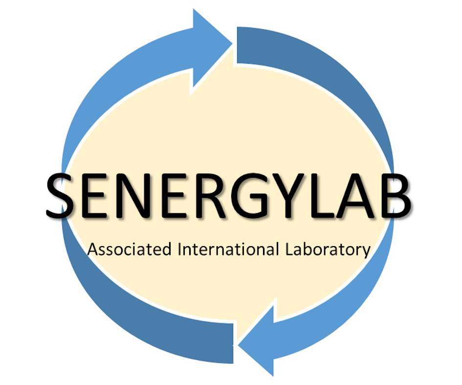 SenergyLab